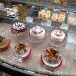 8월노 카메리안