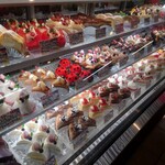 8월노 카메리안