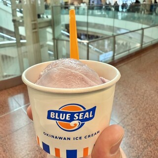 ブルーシール_0