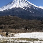 蓬来軒 - 県道71号線の富士山（帰）
