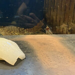 石松　阪奈店 - 