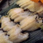 紅緒 - 穴子の白焼き