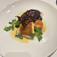 THE COSMOPOLITAN GRILL BAR TERRACE - 