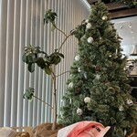 ゴントラン シェリエ - 