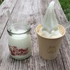  しばちゃんランチマーケット - 牛乳プリン(左)とソフトクリーム