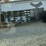 サヌキのピッピ - 