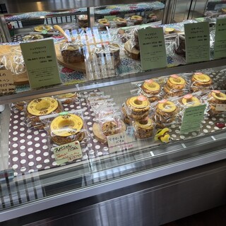 ズーセス ヴェゲトゥス_2