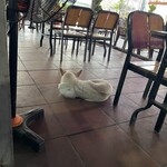 Quán hải sản Mậu 369 - 