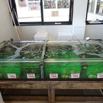 伊勢志摩みやげセンター王将 松阪店 - 店内