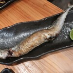恵風和暢　あっと - ・コース 新秋刀魚