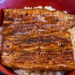 小島屋 - 2025.12 うな重 特上（7,400円）