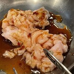 Dengeki Horumon Tsugie