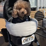 RHC CAFE - ふわふわシェリ