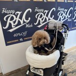 RHC CAFE - セールで白のベアフットＧＥＴ♪