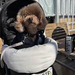 RHC CAFE - おやつを食べて満足？