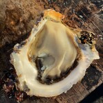 Uo Uriba Morita Suisan Nakaminato Uo Ichiba Mae