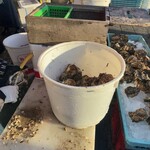 Uo Uriba Morita Suisan Nakaminato Uo Ichiba Mae