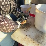 Uo Uriba Morita Suisan Nakaminato Uo Ichiba Mae