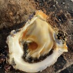 Uo Uriba Morita Suisan Nakaminato Uo Ichiba Mae