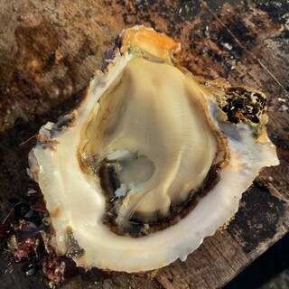 魚売場 森田水産_1