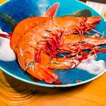 京都さしみ丸 - 