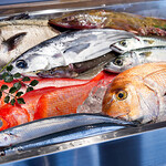 浅草 とりひろ - 