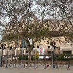 上海博物馆茶室 - 