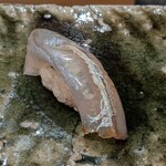 鮨桂太 - さより