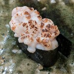 鮨桂太 - 鱈白子