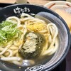 はなまるうどん - ゆずとろろ昆布うどん