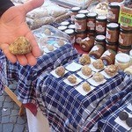 Osteria dell'Arco - アルバのトリュフ市