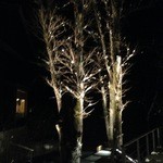 丸山珈琲  - 外のライトアップ