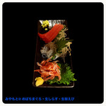 まぐろ一筋みやもと - 