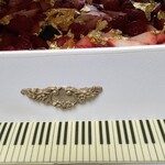 ザショップアットザパーク - 