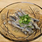 土佐の酒とうまいもの 神楽坂 ぼっちりや - 
