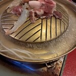 MOOKATA - 