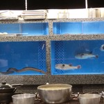 割烹 恵比寿 - ＜再訪・2014年12月＞前回はアユが居た生簀にウナギやフグ。。。上の段には車エビ。