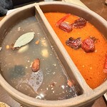 裏の山の木の子 - 