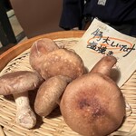 秋田きりたんぽ屋 - 