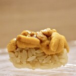 鮨処 暁 -akatsuki- - 北海道産バフン雲丹