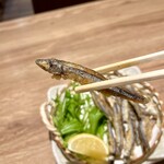 九州料理･焼酎 ひかり屋 - 大好物のキビナゴ唐揚げ