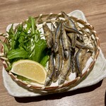 九州料理･焼酎 ひかり屋 - 