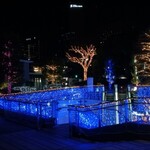 スターバックスコーヒー - 