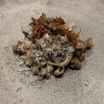 オットセッテ那須 - 