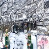鐵板燒 櫻Komachi 武家屋敷店 - 