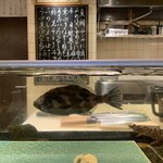 鮨処 音羽 北新地永楽店 - 