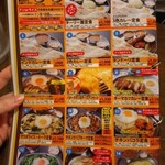 インド定食 ターリー屋 - 2色カレー定食にしました。ライスも選べます。ライスはサイズをレイズできる。