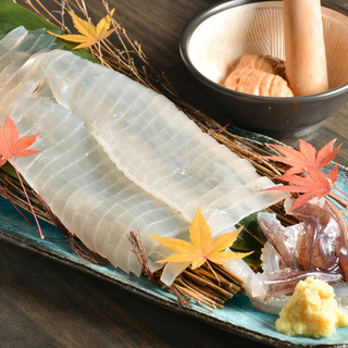 Fresh live squid sashimi