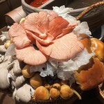 裏の山の木の子 - 