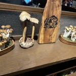 裏の山の木の子 - 